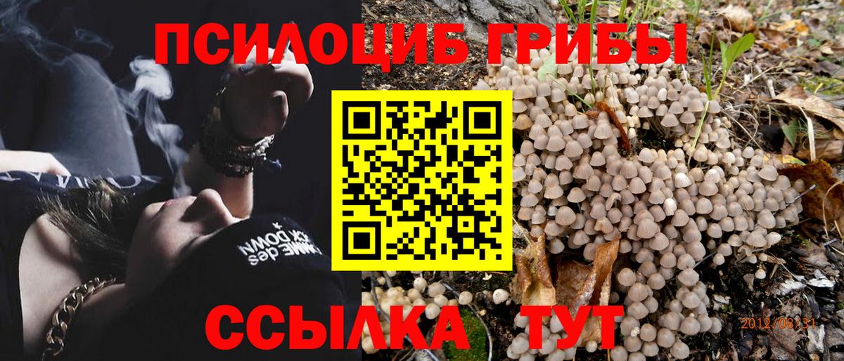 Псилоцибиновые грибы GOLDEN TEACHER  Галлюциногенные грибы Psilocybe  Вход с VPN  Майкоп 