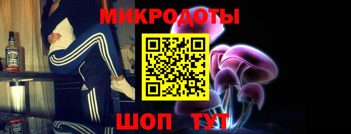 Галлюциногенные грибы Cubensis Майкоп